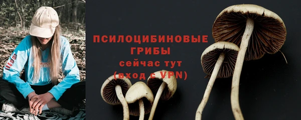 синтетический гашиш Гусиноозёрск