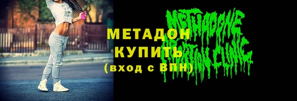 сатива Новодвинск