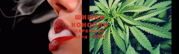 гидропоника Новозыбков
