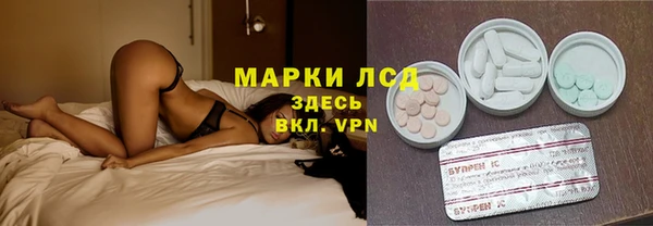 гидропоника Новозыбков