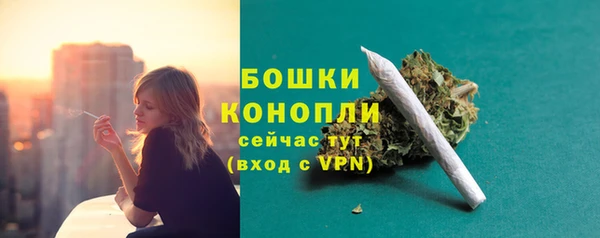 сатива Новодвинск