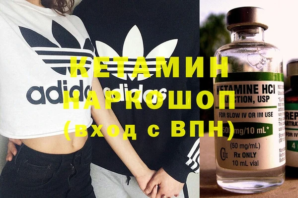 сатива Новодвинск