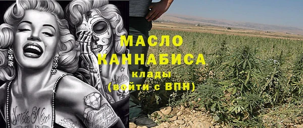 сатива Новодвинск
