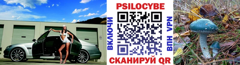 Галлюциногенные грибы Cubensis где купить наркоту Павловск